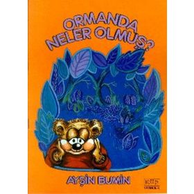Ormanda Neler Olmuş - Ayşin Bumin