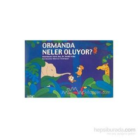 Ormanda Neler Oluyor? - yard vesile yildiz