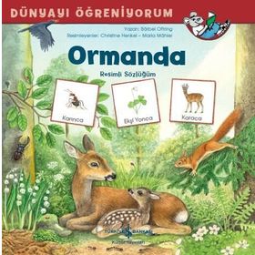 Ormanda Resimli Sözlüğüm - Dünyayı Öğreniyorum - Barbel Oftring