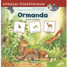 Ormanda Resimli Sözlüğüm - Dünyayı Öğreniyorum - Barbel Oftring