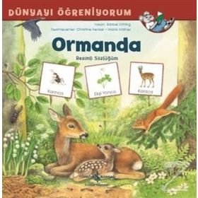 Ormanda Resimli Sözlüğüm - Dünyayı Öğreniyorum - Barbel Oftring