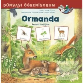 Ormanda Resimli Sözlüğüm - Dünyayı Öğreniyorum - Barbel Oftring
