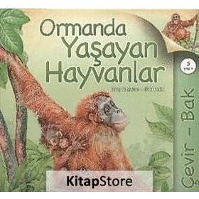 ORMANDA YAŞAYAN HAYVANLAR - JINNY JOHNSON;NICKI PALIN