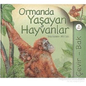 ORMANDA YAŞAYAN HAYVANLAR - JINNY JOHNSON;NICKI PALIN