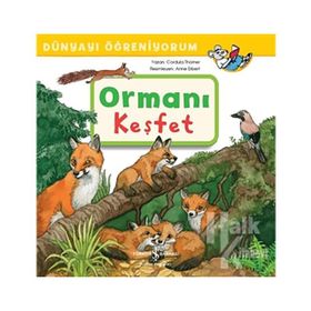 Ormanı Keşfet - Dünyayı Öğreniyorum - Cordula Thörner