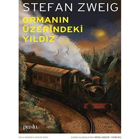 Ormanın Üzerindeki Yıldız - Stefan Zweig