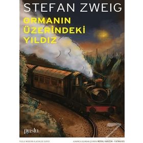 Ormanın Üzerindeki Yıldız - Stefan Zweig