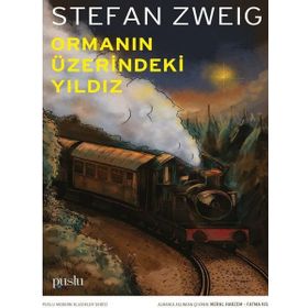 Ormanın Üzerindeki Yıldız - Stefan Zweig