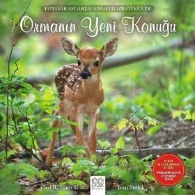 Ormanın Yeni Konuğu - Carl R. Sams II Jean Stoick
