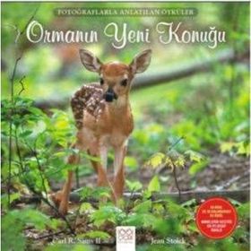 Ormanın Yeni Konuğu - Carl R. Sams II Jean Stoick