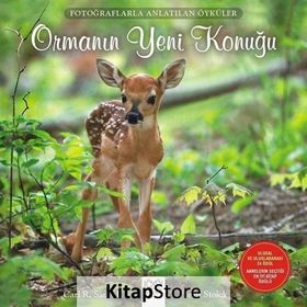 Ormanın Yeni Konuğu - Carl R. Sams II Jean Stoick