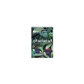 Ormanlar Dünya Üzerindeki Balta Girmemiş Ormanlar, Korular ve Doğal Rezervler Hep Kitap