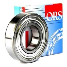 Ors 6004 ZZ Rulman