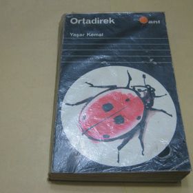 Ortadirek Dağın Öte Yüzü 1 - Yaşar Kemal
