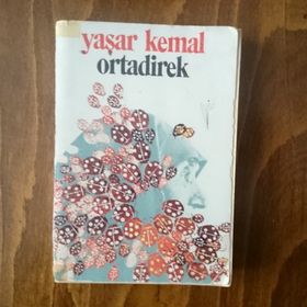 Ortadirek Dağın Öteki Yüzü 1 - Yaşar Kemal