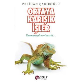 Ortaya Karışık İşler / Perihan Çakıroğlu