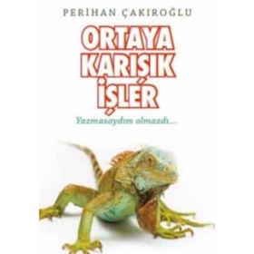 Ortaya Karışık İşler / Perihan Çakıroğlu