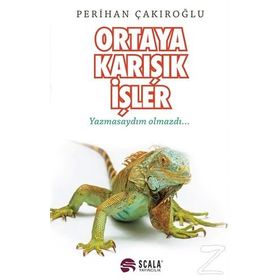 Ortaya Karışık İşler / Perihan Çakıroğlu