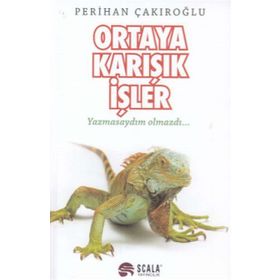 Ortaya Karışık İşler / Perihan Çakıroğlu