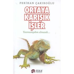 Ortaya Karışık İşler / Perihan Çakıroğlu