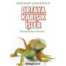 Ortaya Karışık İşler / Perihan Çakıroğlu
