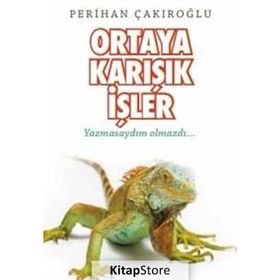 Ortaya Karışık İşler / Perihan Çakıroğlu
