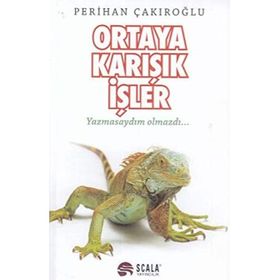 Ortaya Karışık İşler Yazmasaydım Olmazdı - Perihan Çakıroğlu