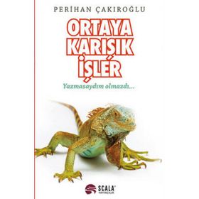 Ortaya Karışık İşler Yazmasaydım Olmazdı - Perihan Çakıroğlu