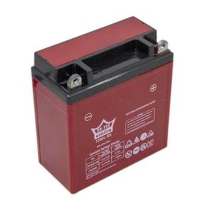 Ortec 12N5L-BS 12V 5Ah Motosiklet Aküsü