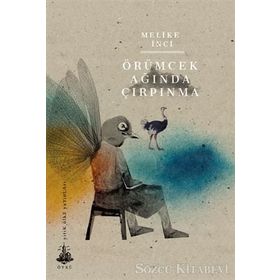 Örümcek Ağında Çırpınma - Melike İnci