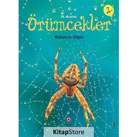 ÖRÜMCEKLER - REBECCA GILPIN