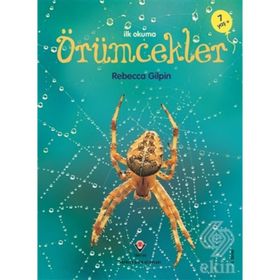 ÖRÜMCEKLER - REBECCA GILPIN