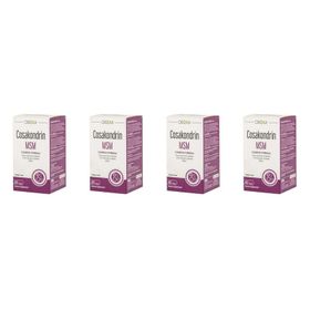 Orzax Cosakondrin MSM 4x60 Tablet