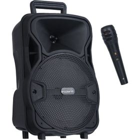Osawa OSW-9115 Seyyar Ses Sistemi