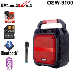 Osawa OSW-9115 Seyyar Ses Sistemi