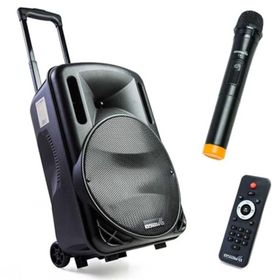 Osawa OSW-9130 Seyyar Ses Sistemi