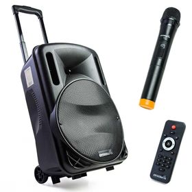 Osawa OSW-9130 Seyyar Ses Sistemi
