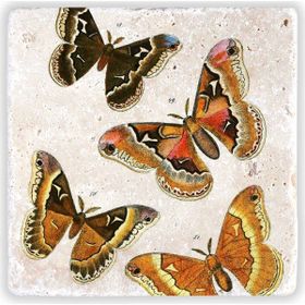Oscar Stone Decor CDD-20-025 Çerçeveli Taş Duvar Panosu