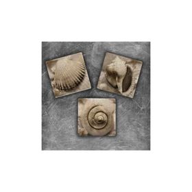 Oscar Stone Decor MG-056 3'lü Doğal Taş Magnet