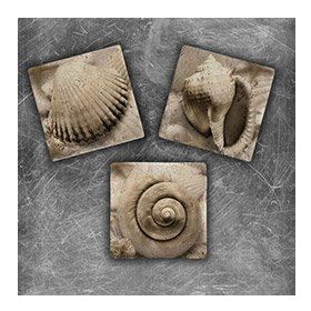 Oscar Stone Decor MG-056 3'lü Doğal Taş Magnet