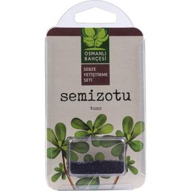 Osmanlı Bahçesi Semiz Otu Tohumu Organik Solucan Gübresi