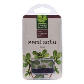 Osmanlı Bahçesi Semiz Otu Tohumu Organik Solucan Gübresi
