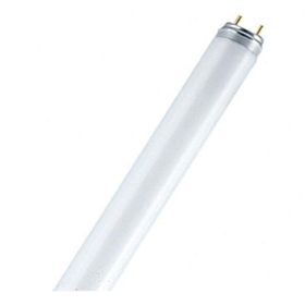 Osram G13 Floresan Ampul