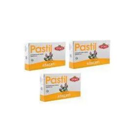 Otacı Adaçayı 3x16 Pastil