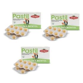 Otacı Diyet Oka Mentol 3x16 Adet Pastil