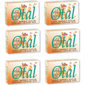 Otacı Otal Çam Katranlı ve Kükürtlü 6x80 gr Sabun
