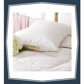 Othello Classico Soffica Kaz Tüyü 50x70 cm Yastık