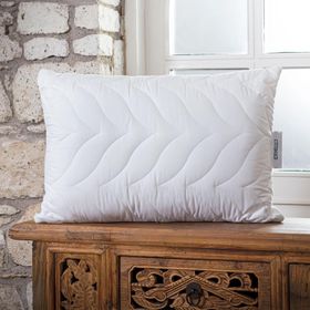 Othello Elegante Lovera Aleovera'lı 50x70 cm Alezli Yastık