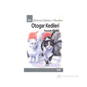 Otogar Kedileri - Yasemin Bülbül