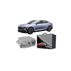 OtoLine Bmw Z4 E85 2005-2008 Araca Özel Oto Branda